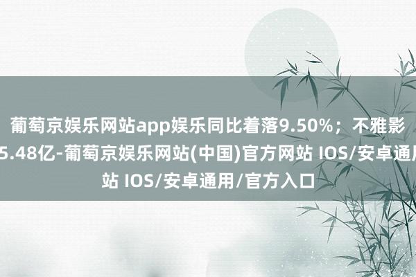 葡萄京娱乐网站app娱乐同比着落9.50%；不雅影东说念主次5.48亿-葡萄京娱乐网站(中国)官方网站 IOS/安卓通用/官方入口