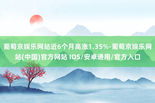 葡萄京娱乐网站近6个月高涨1.35%-葡萄京娱乐网站(中国)官方网站 IOS/安卓通用/官方入口