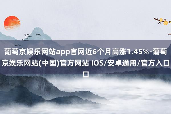 葡萄京娱乐网站app官网近6个月高涨1.45%-葡萄京娱乐网站(中国)官方网站 IOS/安卓通用/官方入口