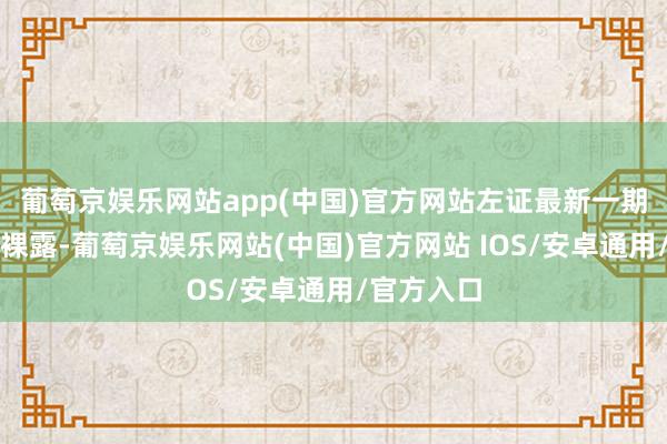 葡萄京娱乐网站app(中国)官方网站左证最新一期基金季报裸露-葡萄京娱乐网站(中国)官方网站 IOS/安卓通用/官方入口