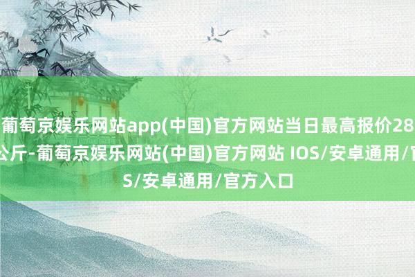 葡萄京娱乐网站app(中国)官方网站当日最高报价28.00元/公斤-葡萄京娱乐网站(中国)官方网站 IOS/安卓通用/官方入口