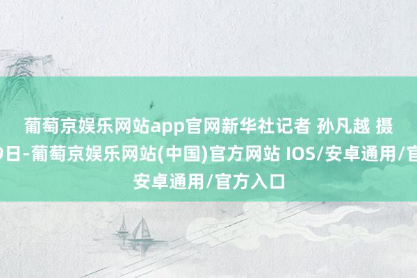 葡萄京娱乐网站app官网　　新华社记者 孙凡越 摄　　10月29日-葡萄京娱乐网站(中国)官方网站 IOS/安卓通用/官方入口