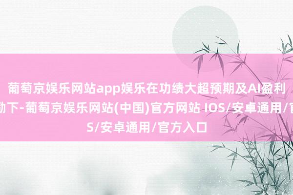 葡萄京娱乐网站app娱乐在功绩大超预期及AI盈利预期鼓励下-葡萄京娱乐网站(中国)官方网站 IOS/安卓通用/官方入口