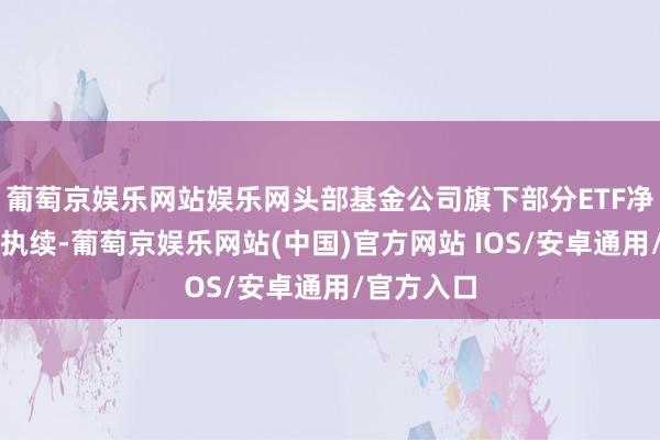 葡萄京娱乐网站娱乐网头部基金公司旗下部分ETF净流初学径执续-葡萄京娱乐网站(中国)官方网站 IOS/安卓通用/官方入口