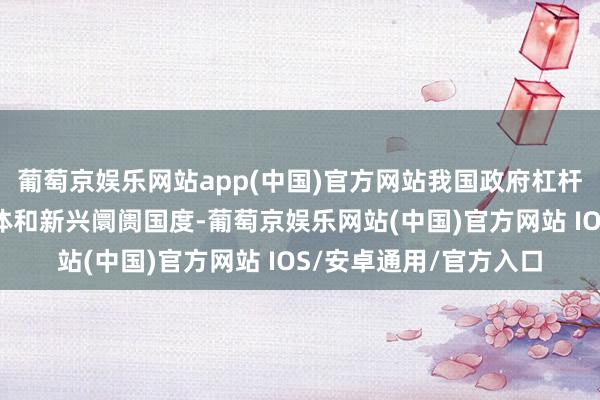 葡萄京娱乐网站app(中国)官方网站我国政府杠杆率彰着低于主要经济体和新兴阛阓国度-葡萄京娱乐网站(中国)官方网站 IOS/安卓通用/官方入口