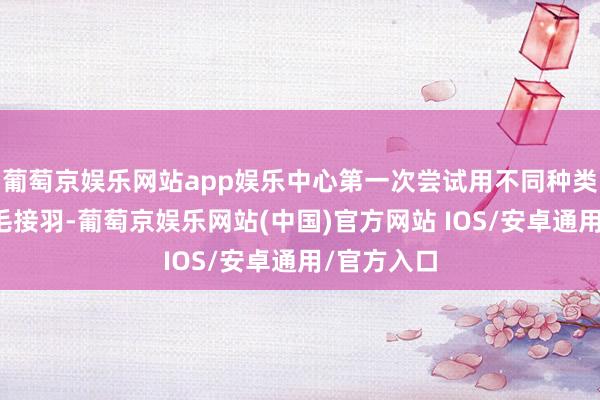 葡萄京娱乐网站app娱乐中心第一次尝试用不同种类的猛禽羽毛接羽-葡萄京娱乐网站(中国)官方网站 IOS/安卓通用/官方入口