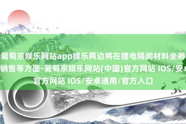 葡萄京娱乐网站app娱乐两边将在锂电隔阂材料坐褥、开发、加工、销售等方面-葡萄京娱乐网站(中国)官方网站 IOS/安卓通用/官方入口