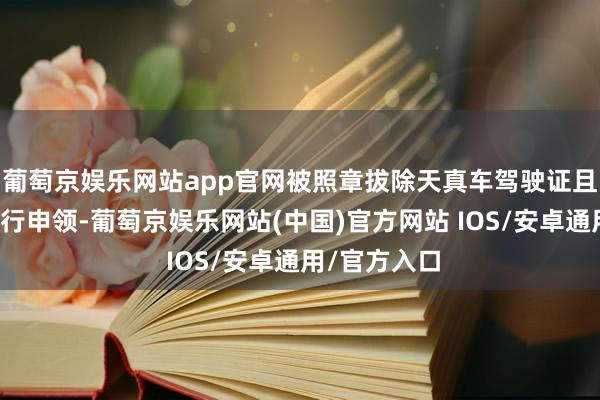 葡萄京娱乐网站app官网被照章拔除天真车驾驶证且终身不得再行申领-葡萄京娱乐网站(中国)官方网站 IOS/安卓通用/官方入口